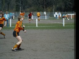 0DIA 1986 RAVA C1